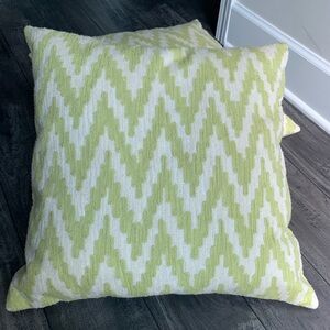 2 West Elm pillow covers